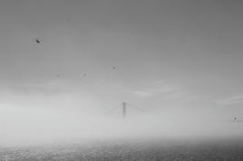 Golden Gate im Nebel VII