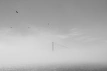 Golden Gate im Nebel VIII